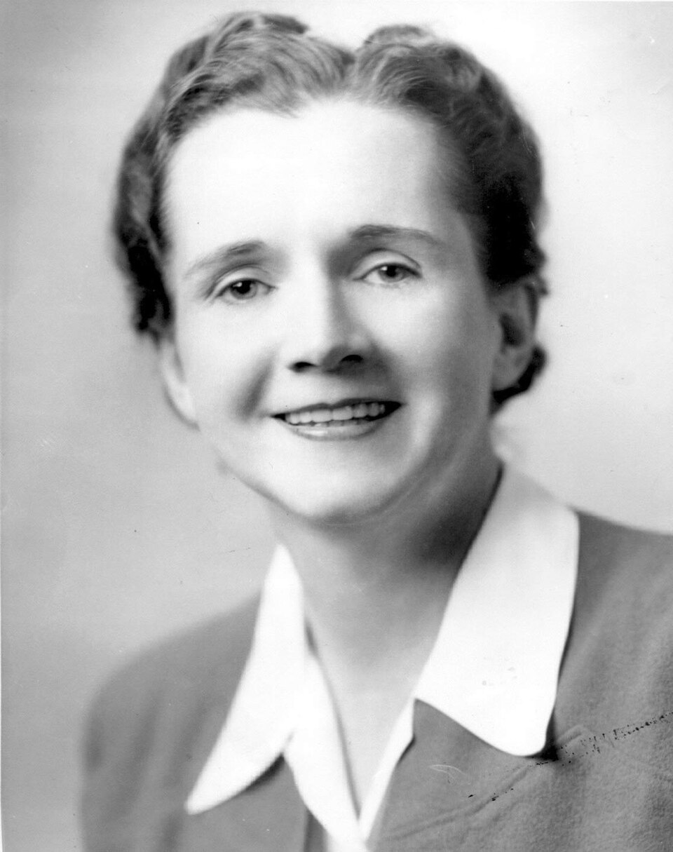 Retrato de Rachel Carson