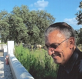 Retrato de José Manuel Rodrigues
