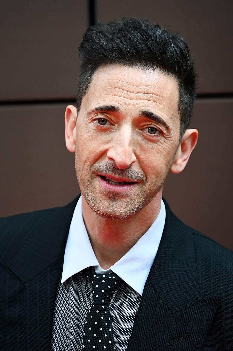 Retrato de Adrien Brody