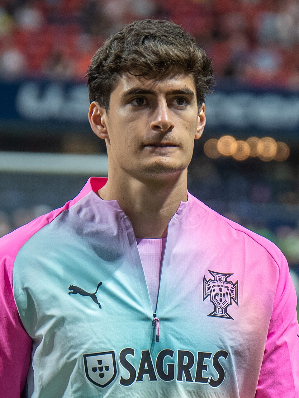 Retrato de António Silva
