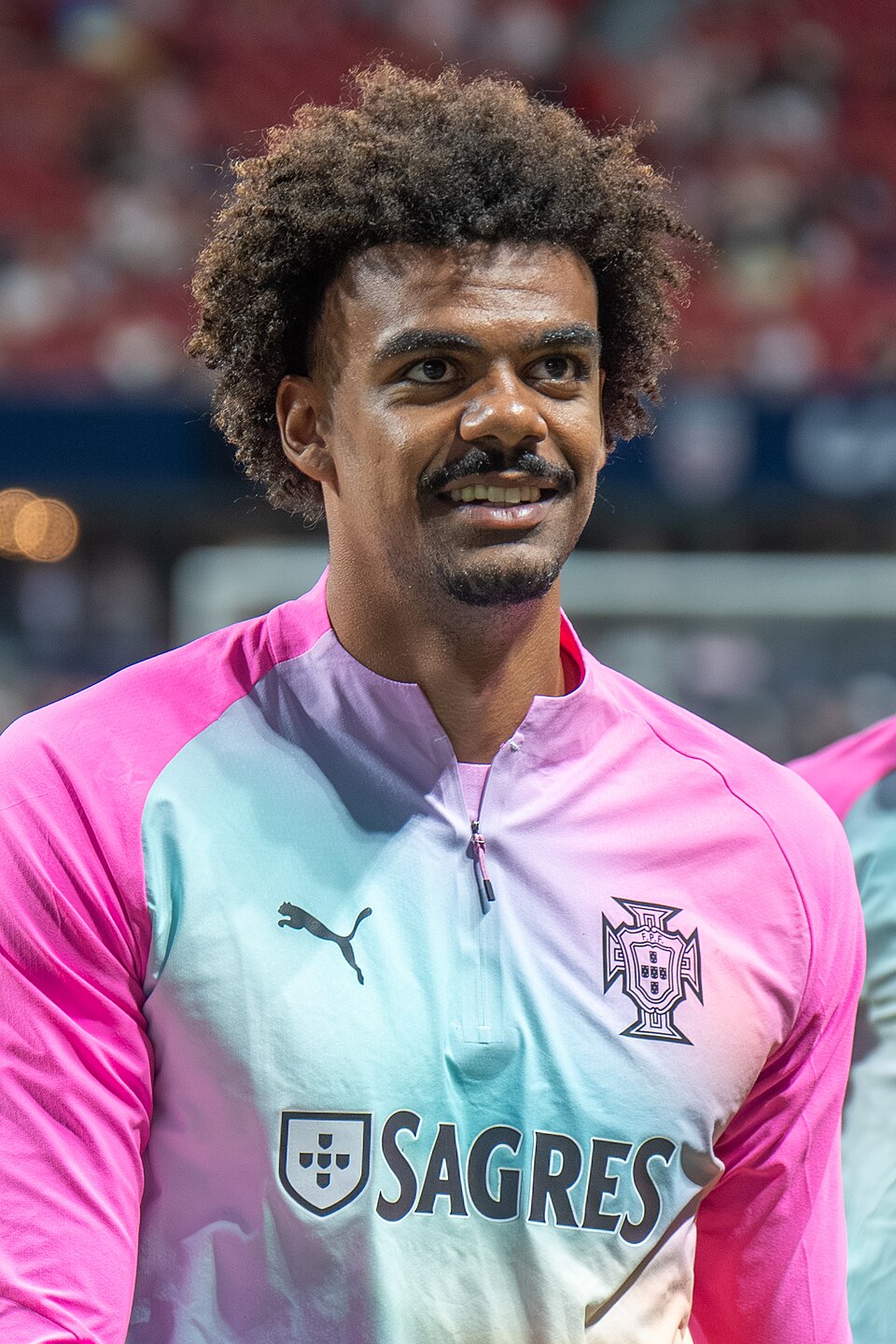 Retrato de Renato Veiga
