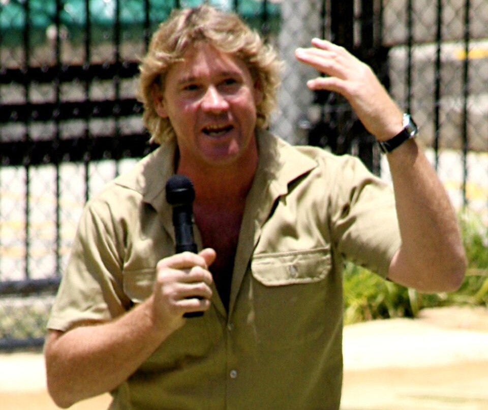 Retrato de Steve Irwin