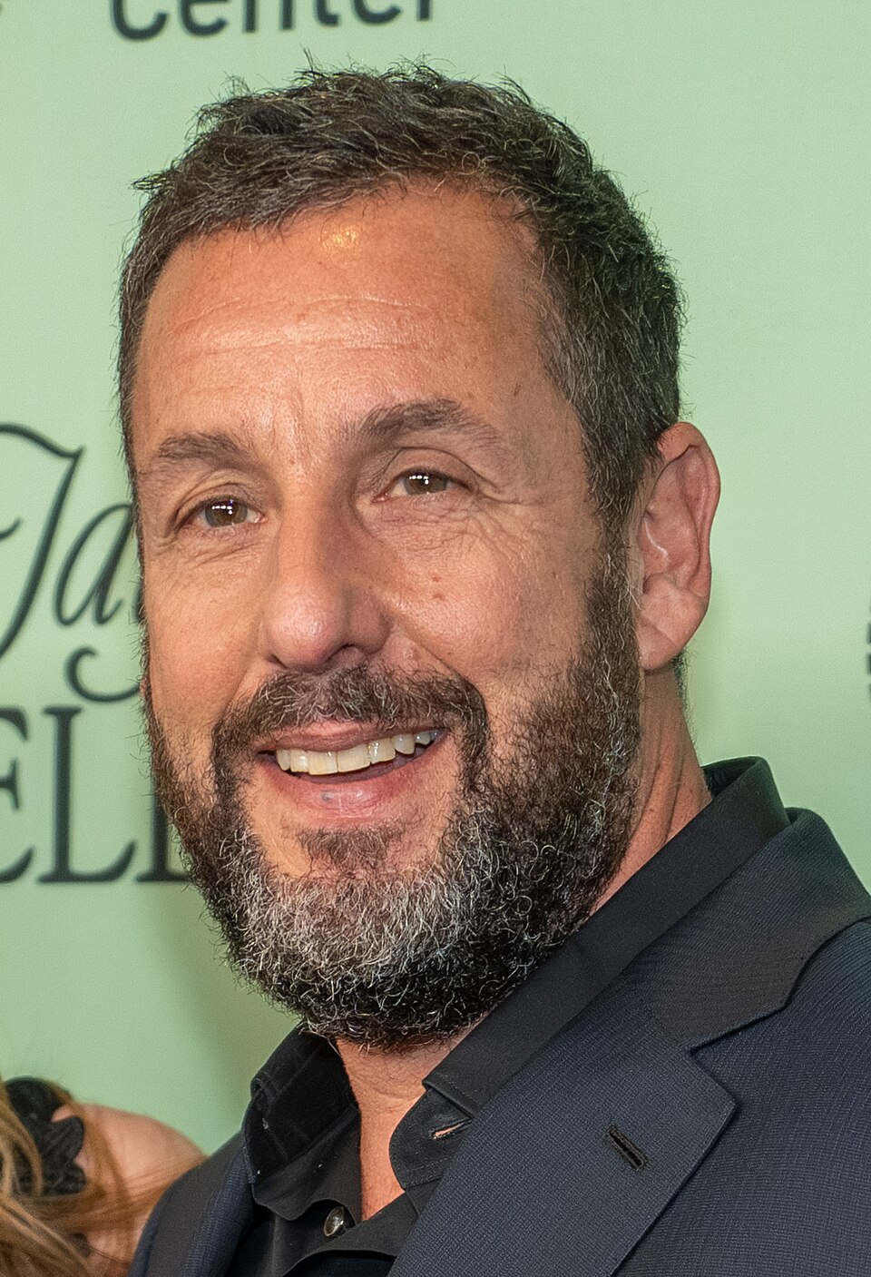 Retrato de Adam Sandler
