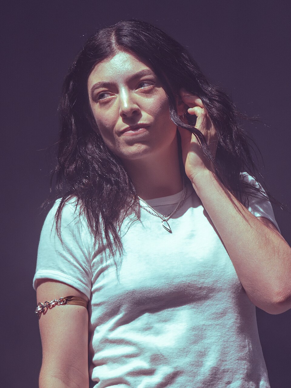 Retrato de Lorde