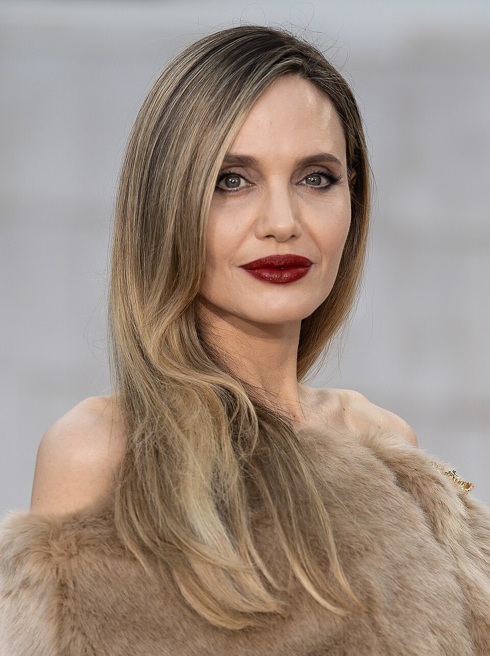 Retrato de Angelina Jolie