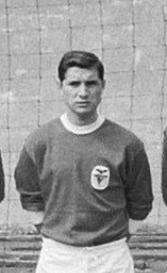 Retrato de Fernando da Conceição Cruz