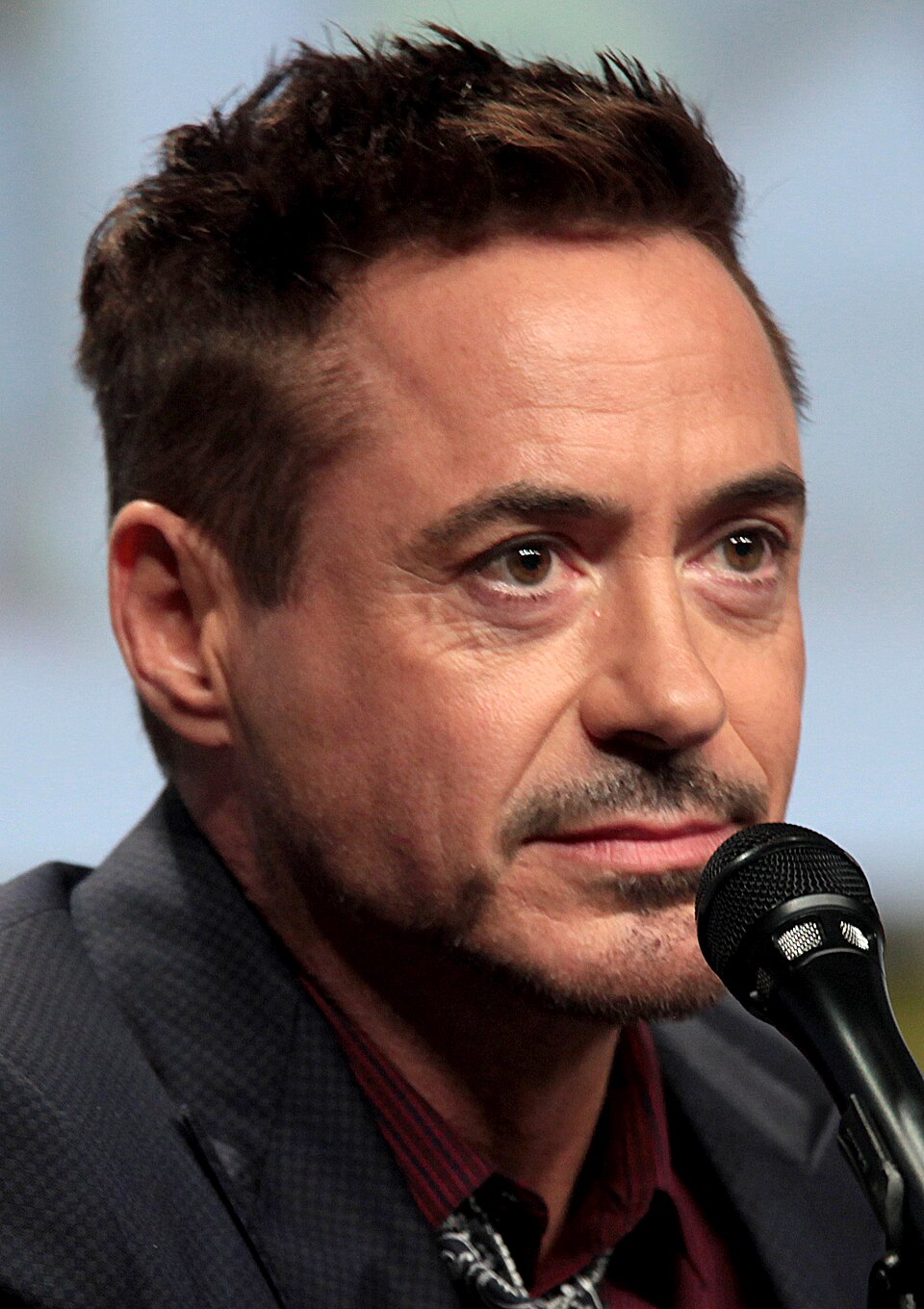 Retrato de Robert Downey Jr.