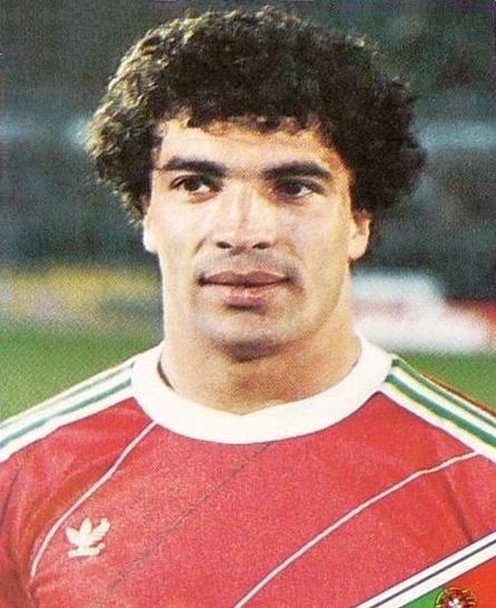 Retrato de João Domingos Pinto