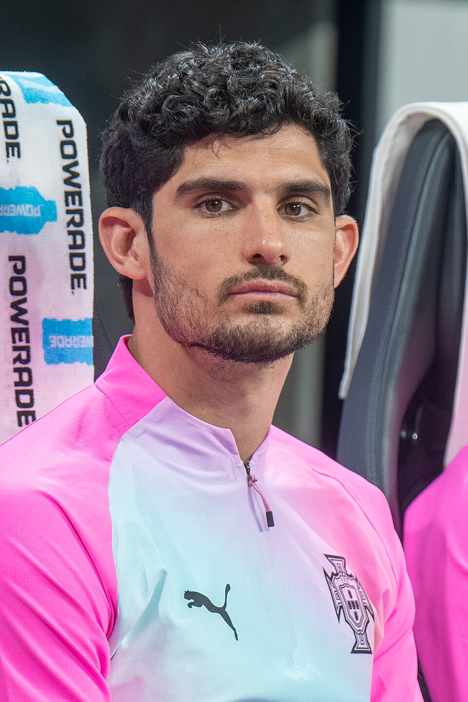 Retrato de Gonçalo Guedes