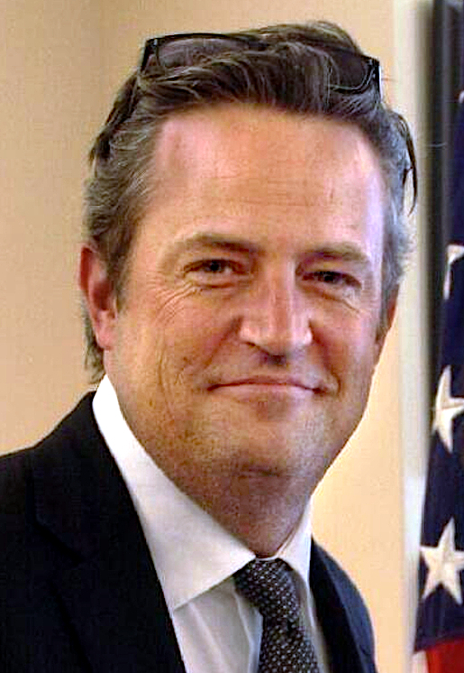 Retrato de Matthew Perry