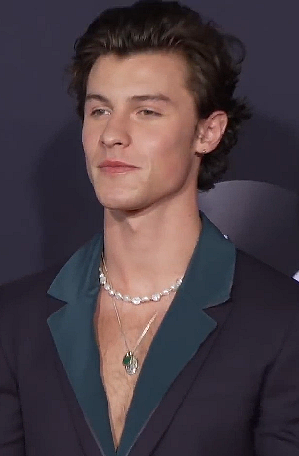 Retrato de Shawn Mendes
