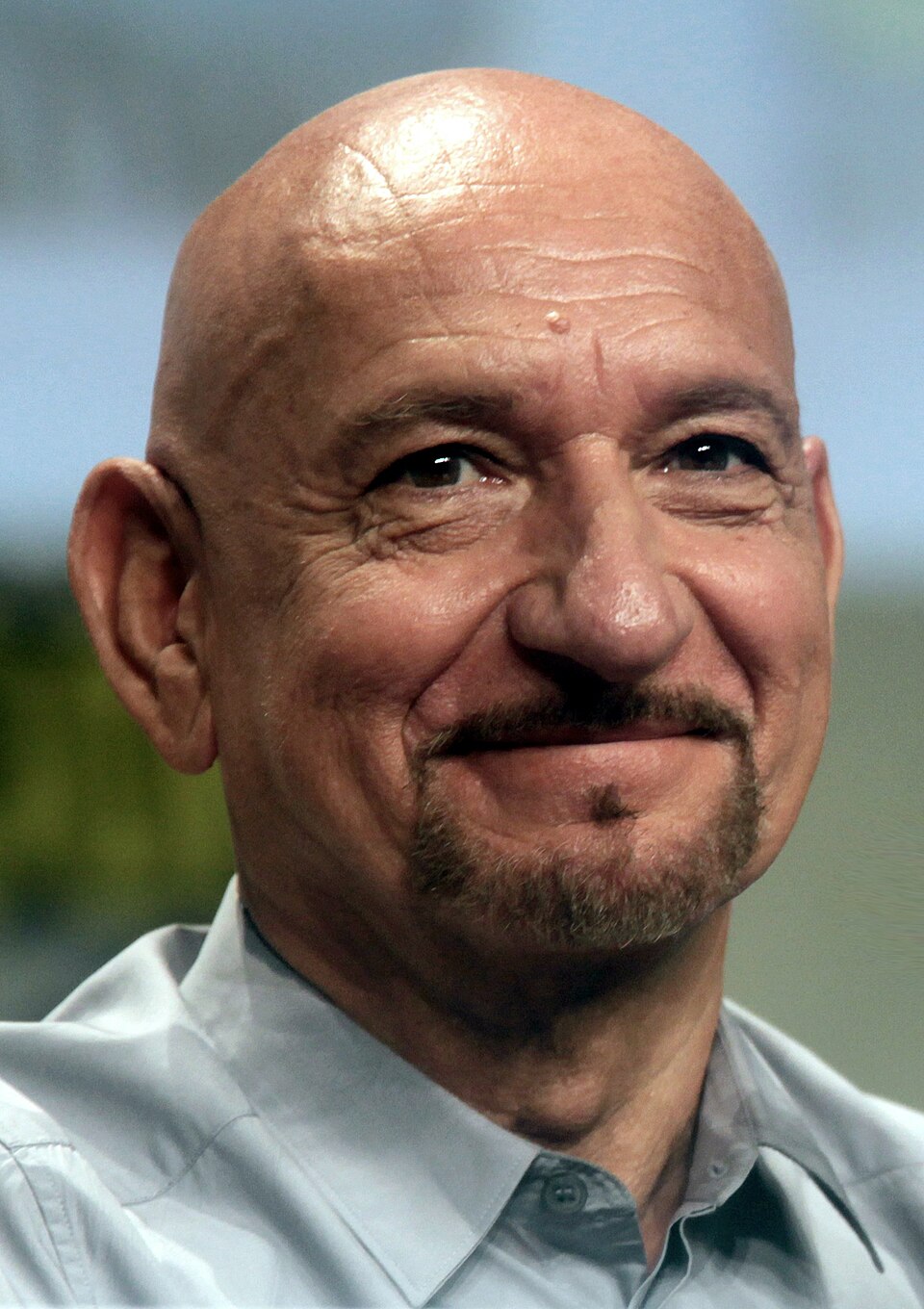 Retrato de Ben Kingsley