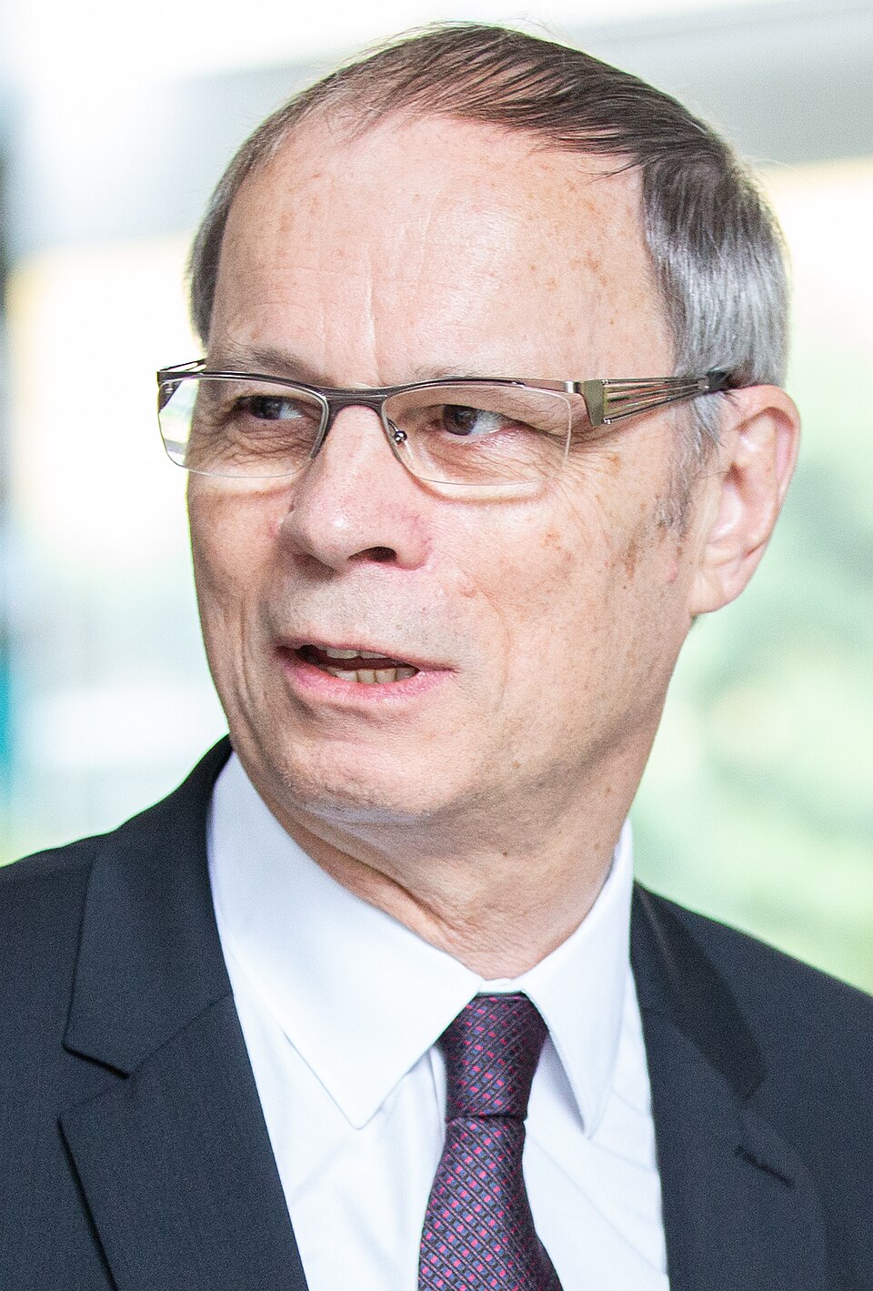 Retrato de Jean Tirole