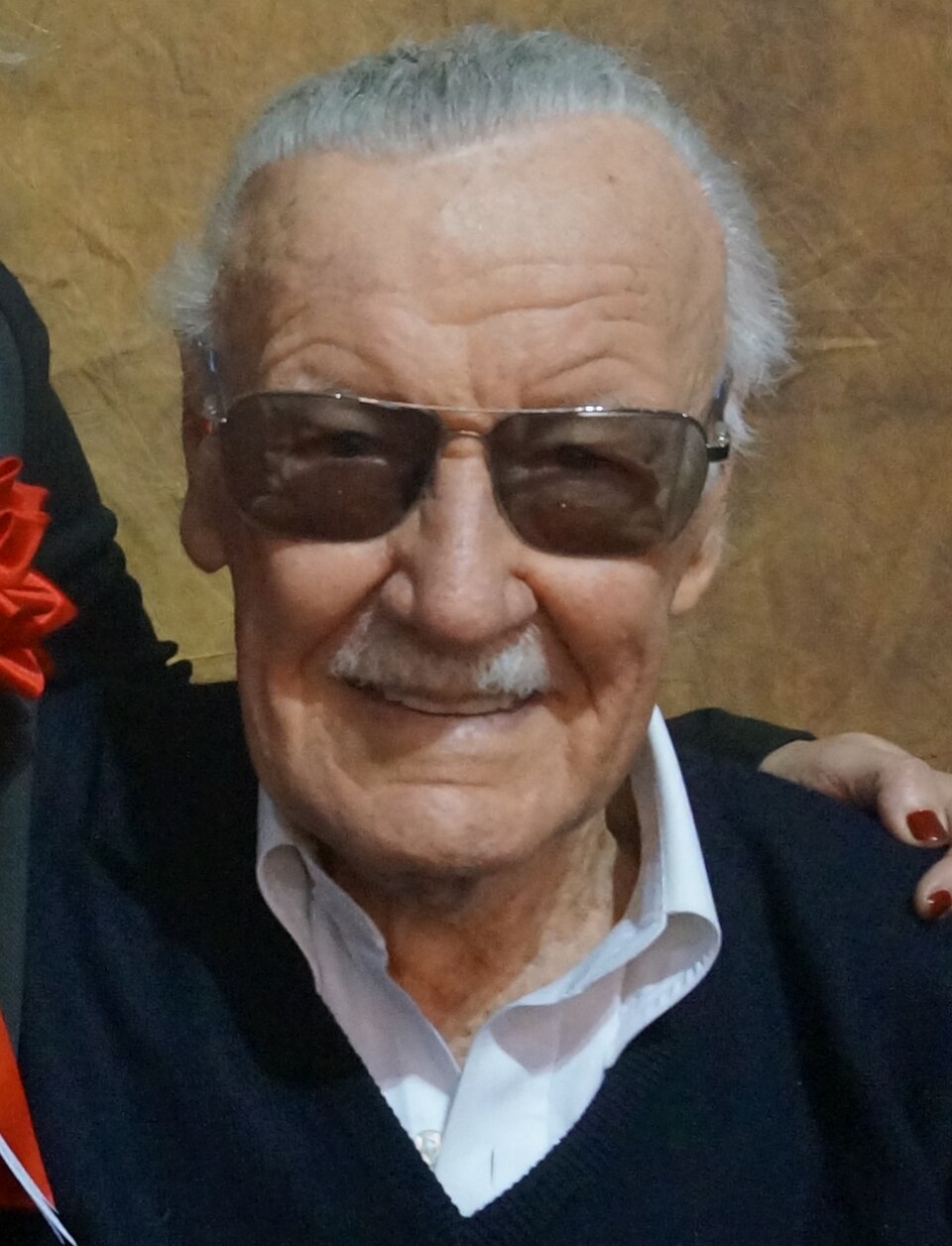 Retrato de Stan Lee