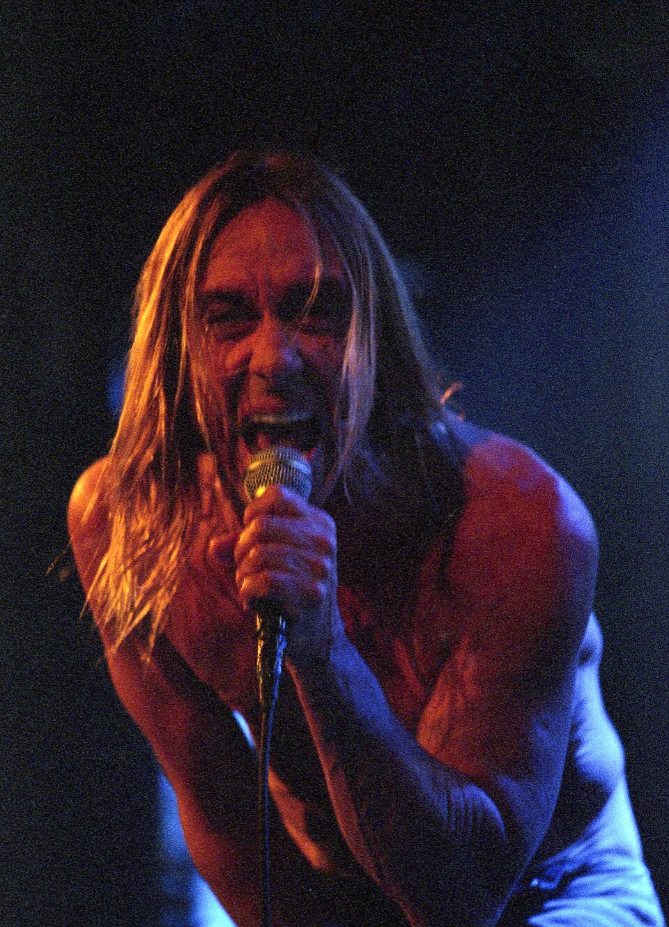 Fotografia de Iggy Pop