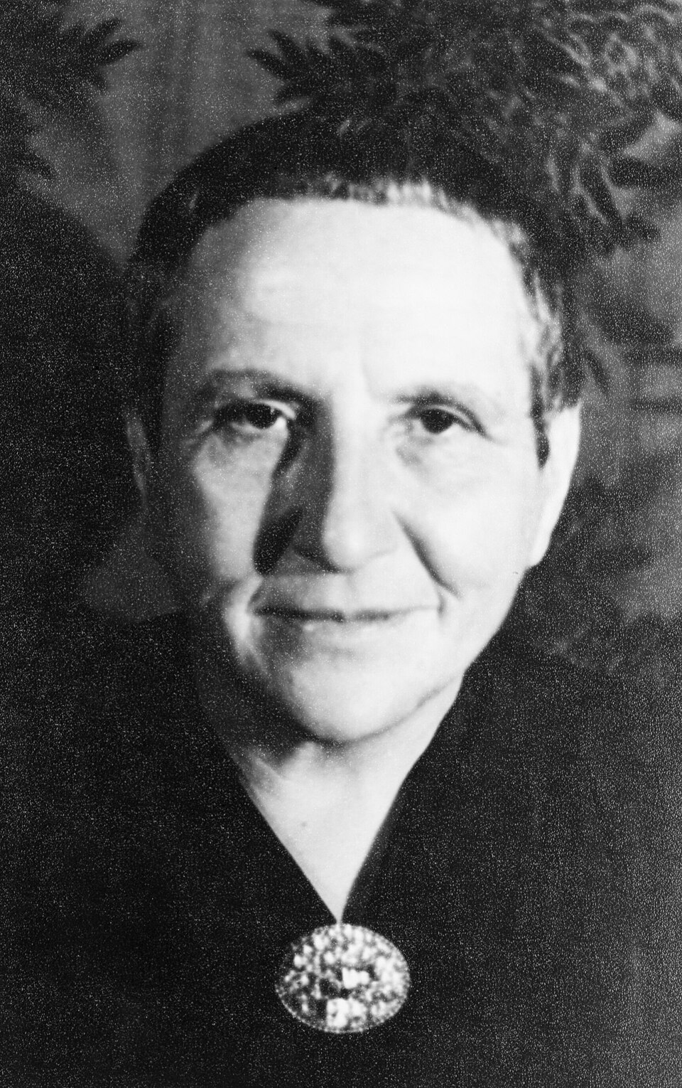 Retrato de Gertrude Stein
