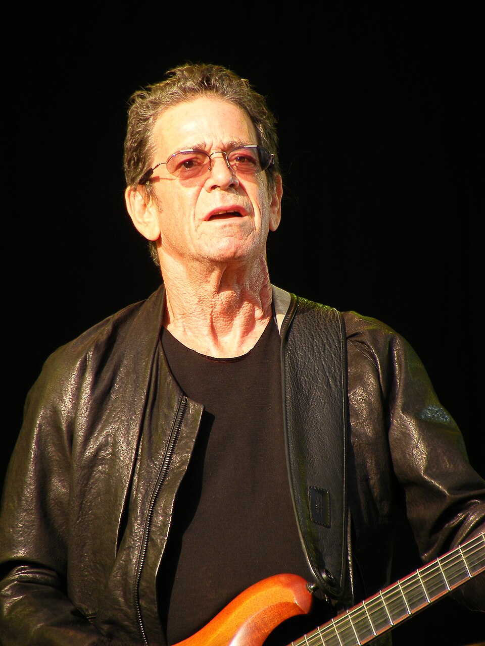 Retrato de Lou Reed