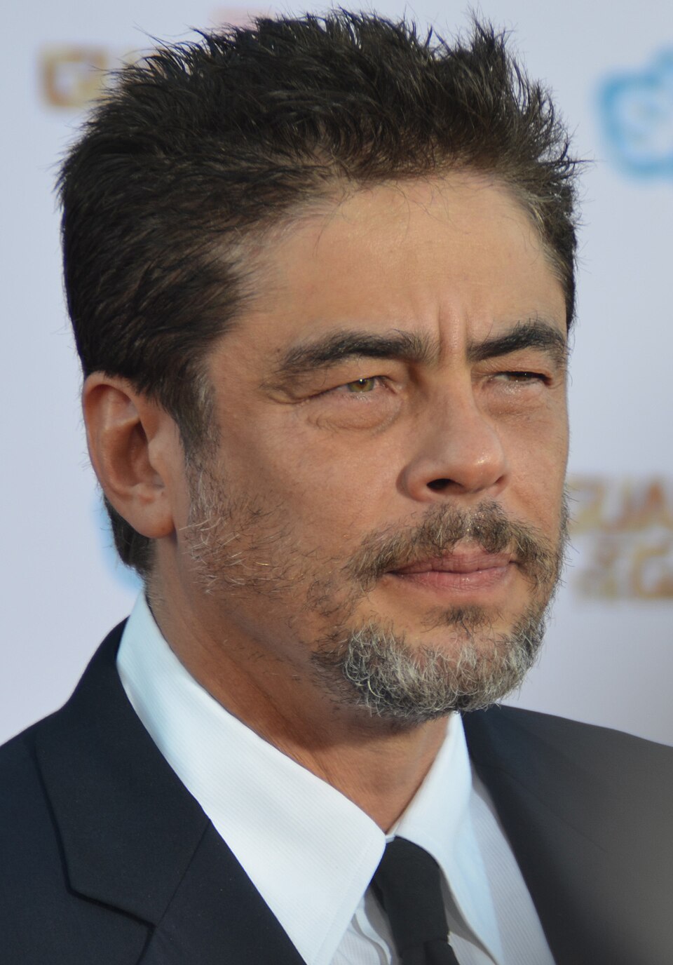 Retrato de Benicio del Toro