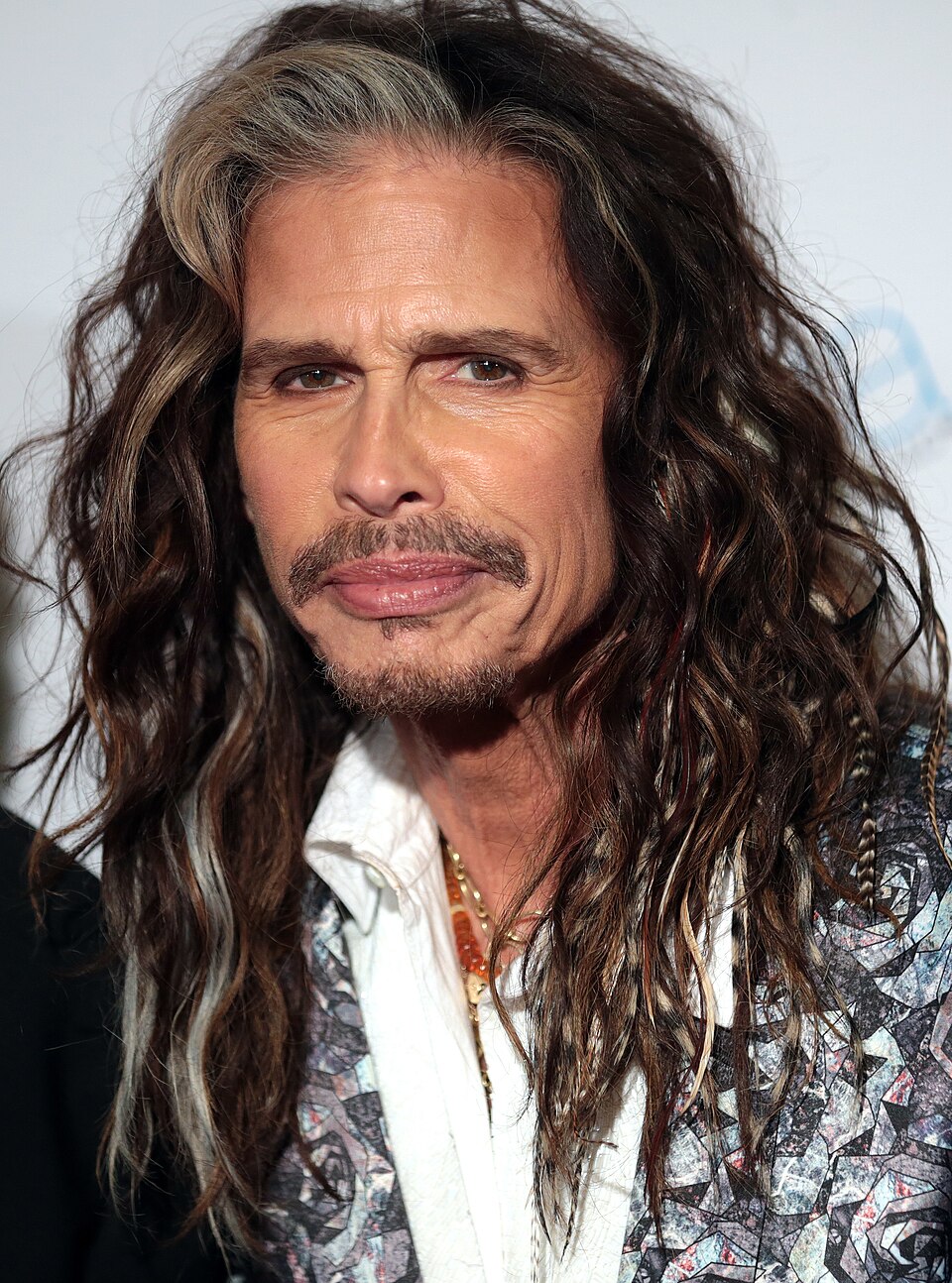 Retrato de Steven Tyler