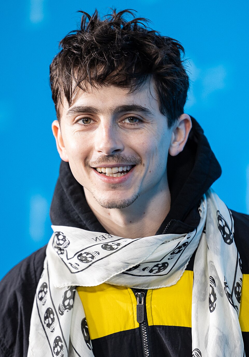 Retrato de Timothée Chalamet