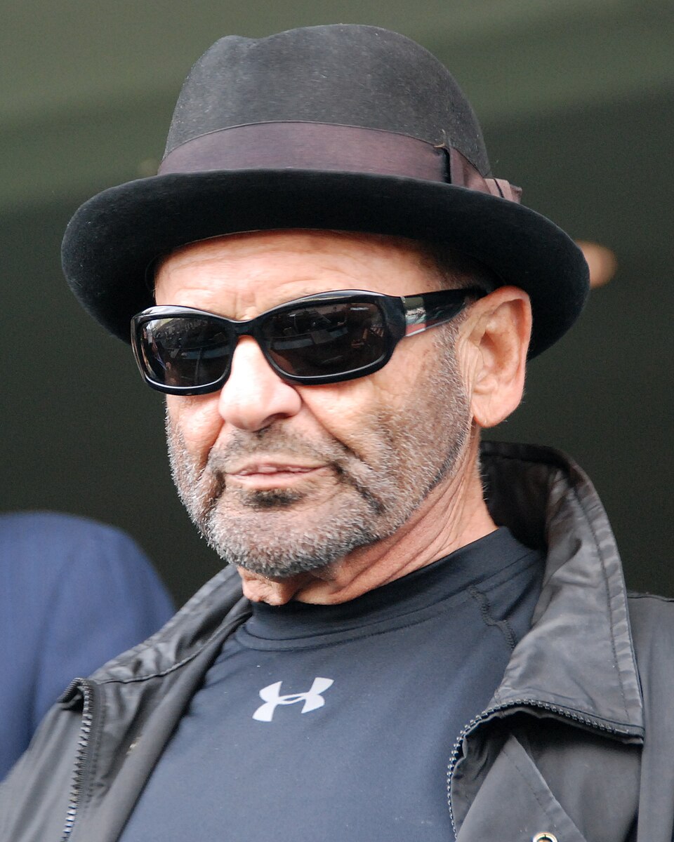 Retrato de Joe Pesci
