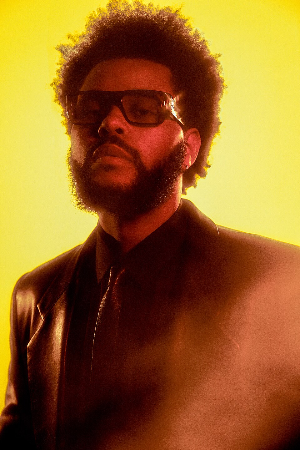 Retrato de The Weeknd