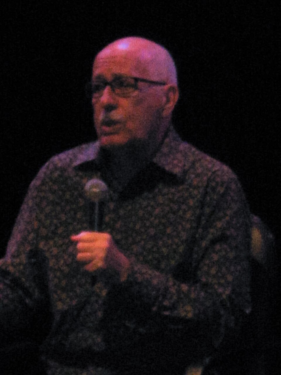Retrato de Silviano Santiago