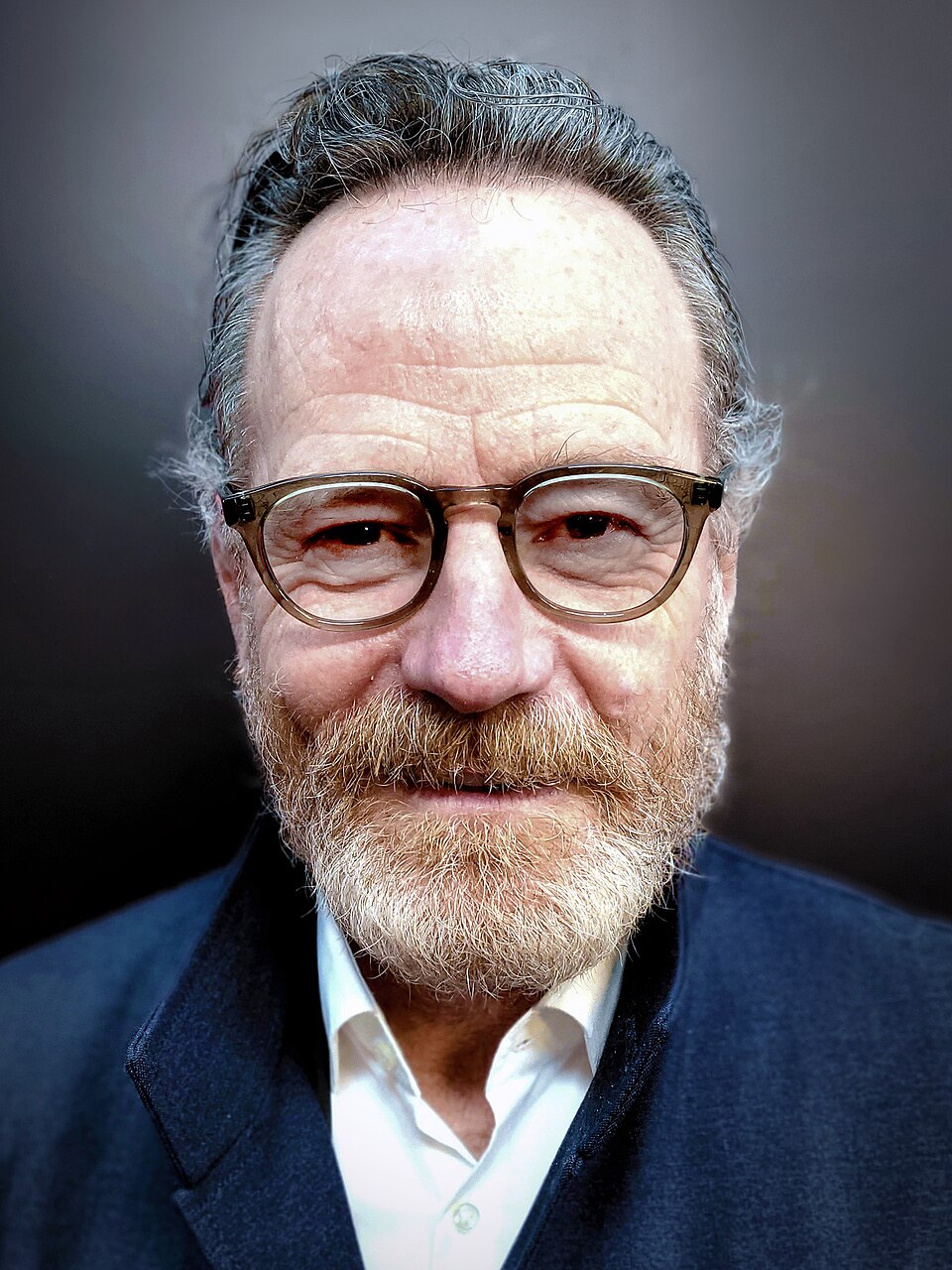 Retrato de Bryan Cranston