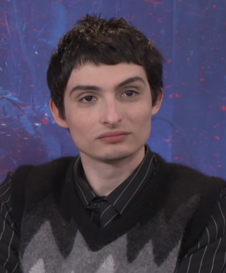 Retrato de Finn Wolfhard