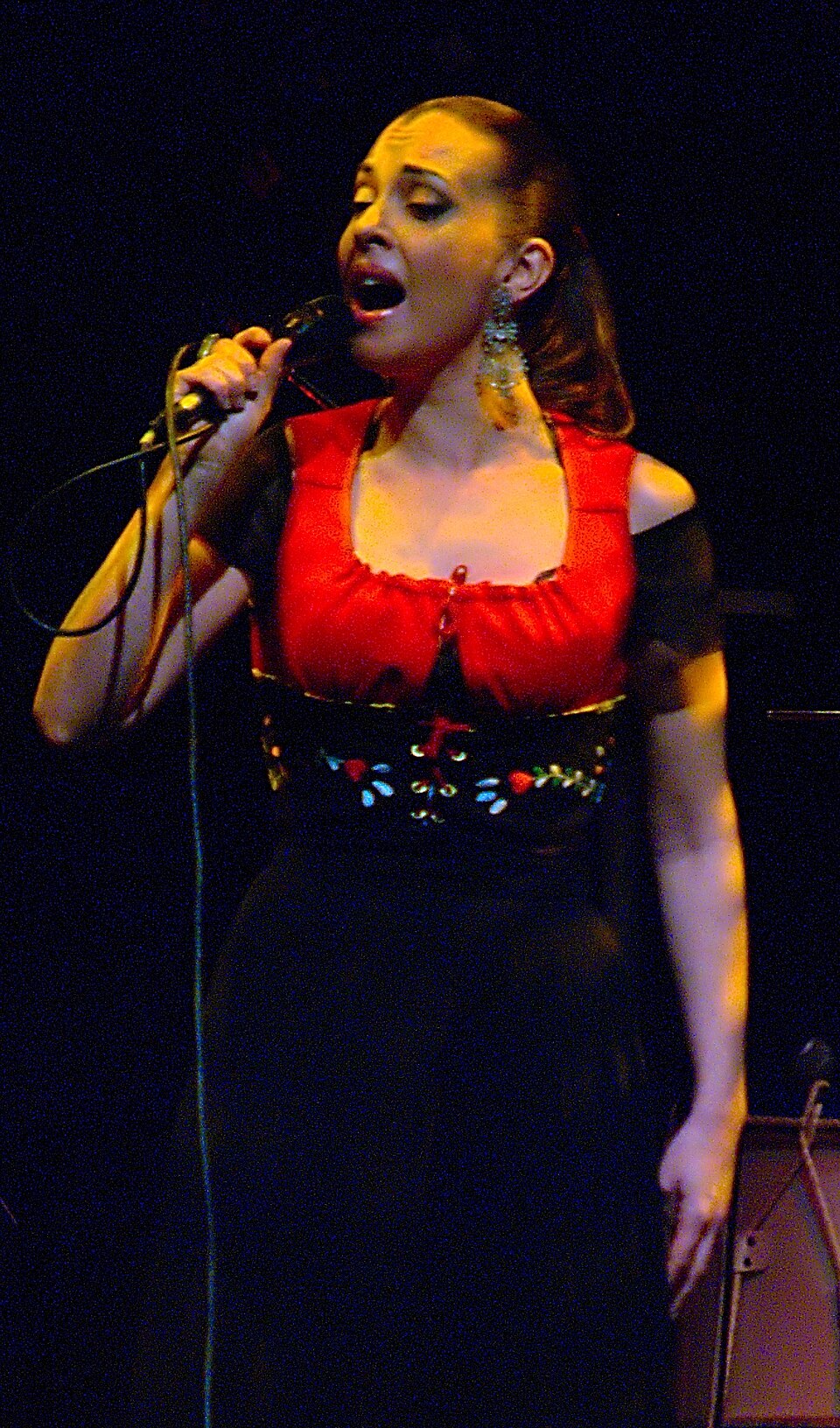 Retrato de Teresa Salgueiro