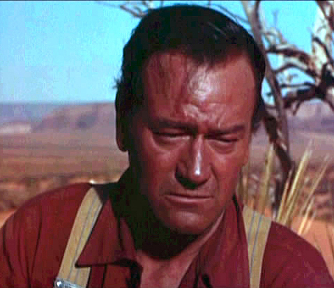 Retrato de The Searchers