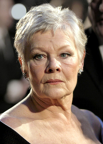 Retrato de Judi Dench