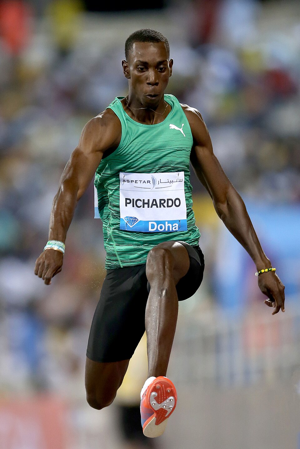 Retrato de Pedro Pichardo