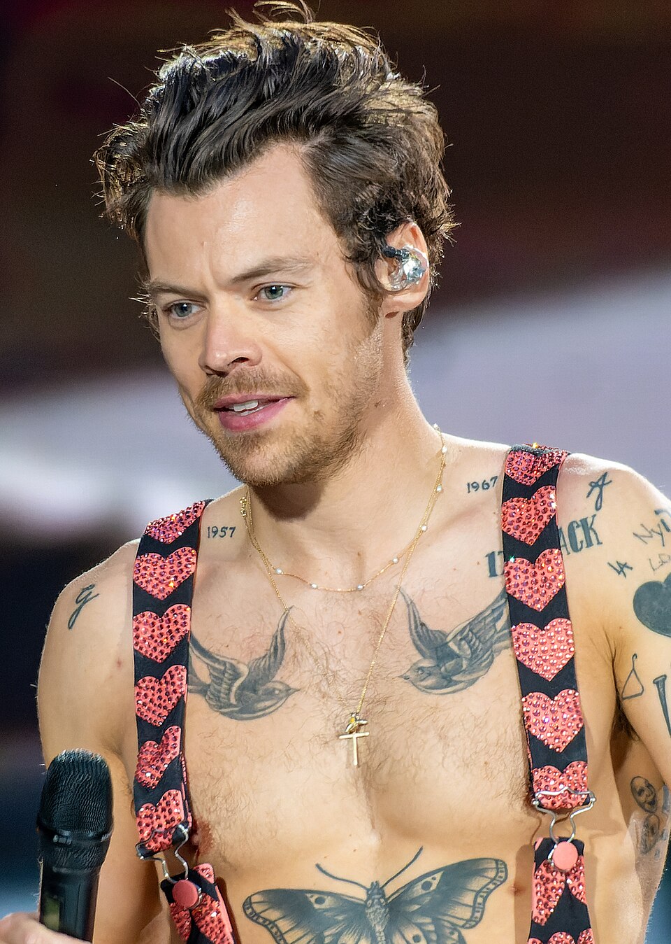 Retrato de Harry Styles