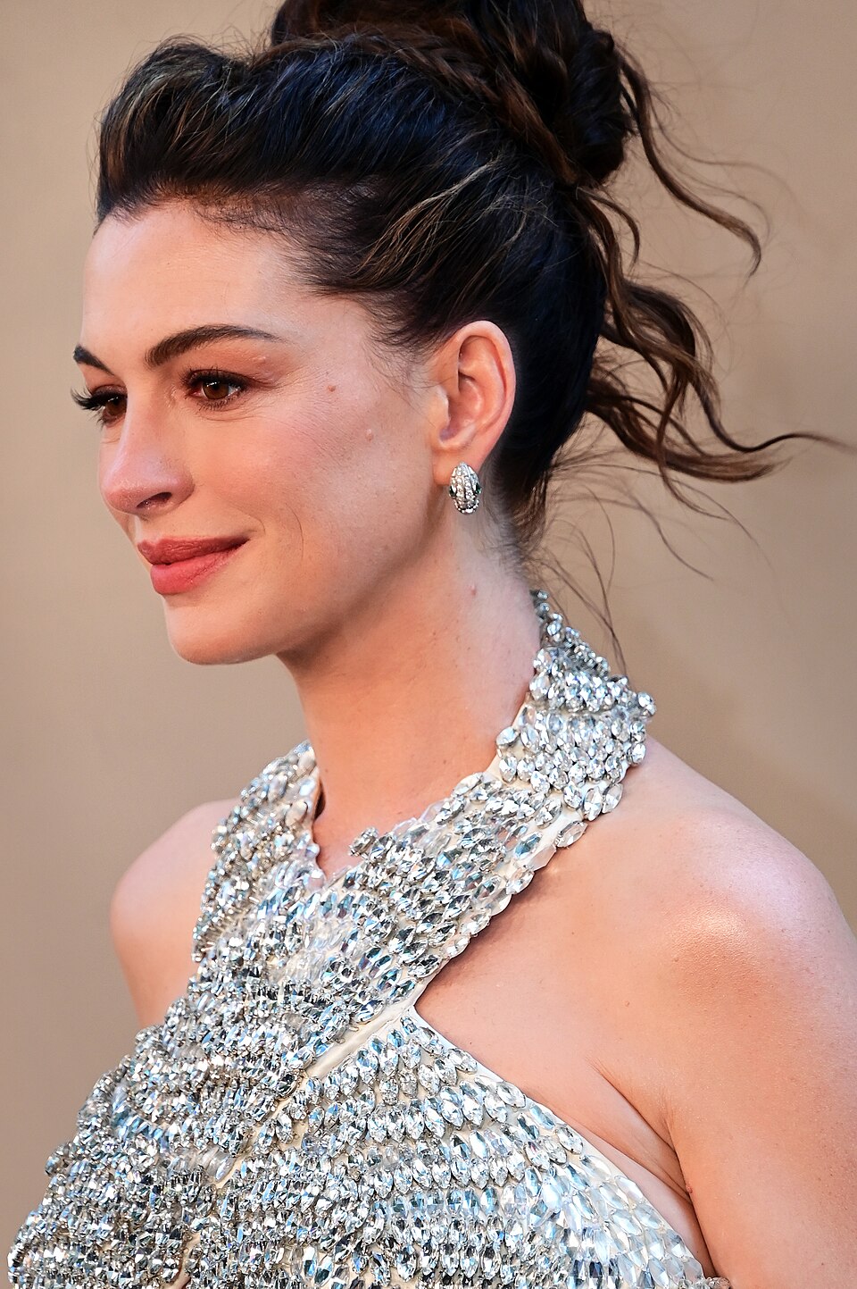 Retrato de Anne Hathaway