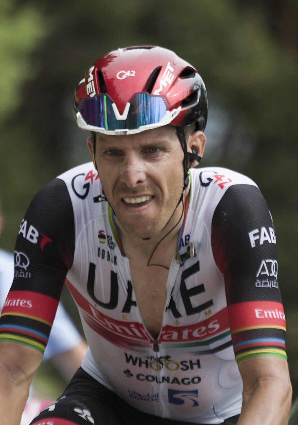 Retrato de Rui Costa