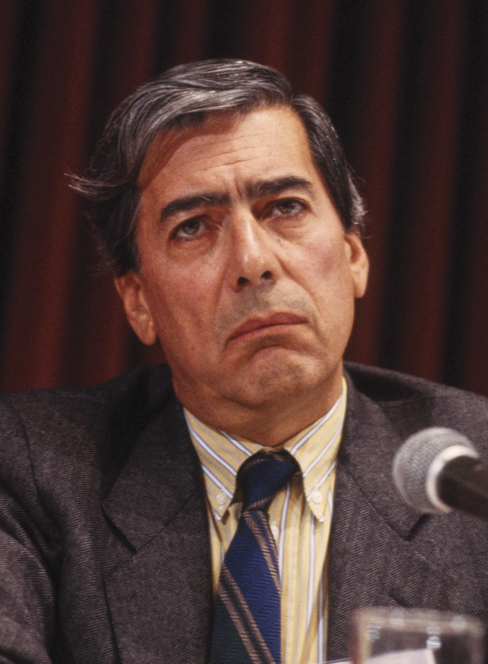 Retrato de Mario Vargas Llosa