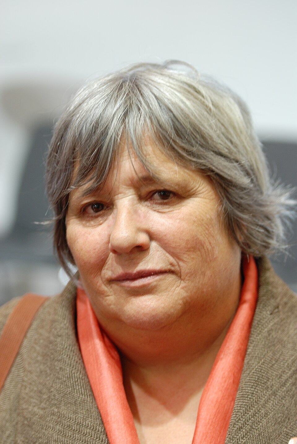 Retrato de Ana Luísa Amaral