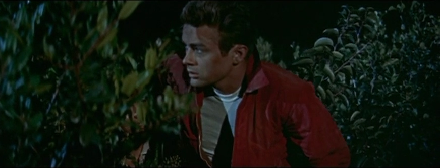 Retrato de Rebel Without a Cause