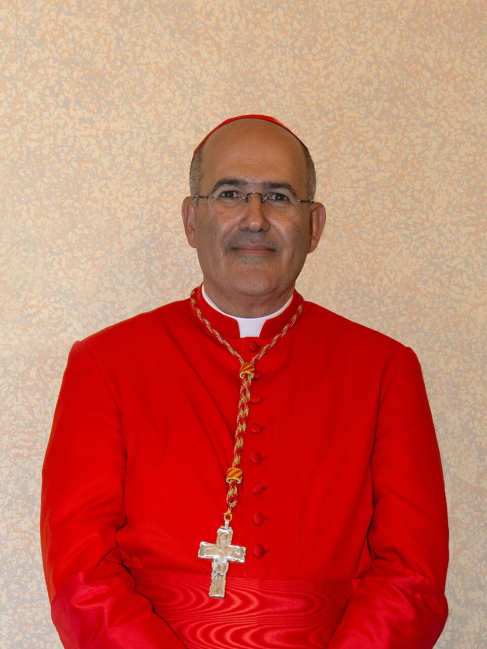 Retrato de José Tolentino Mendonça