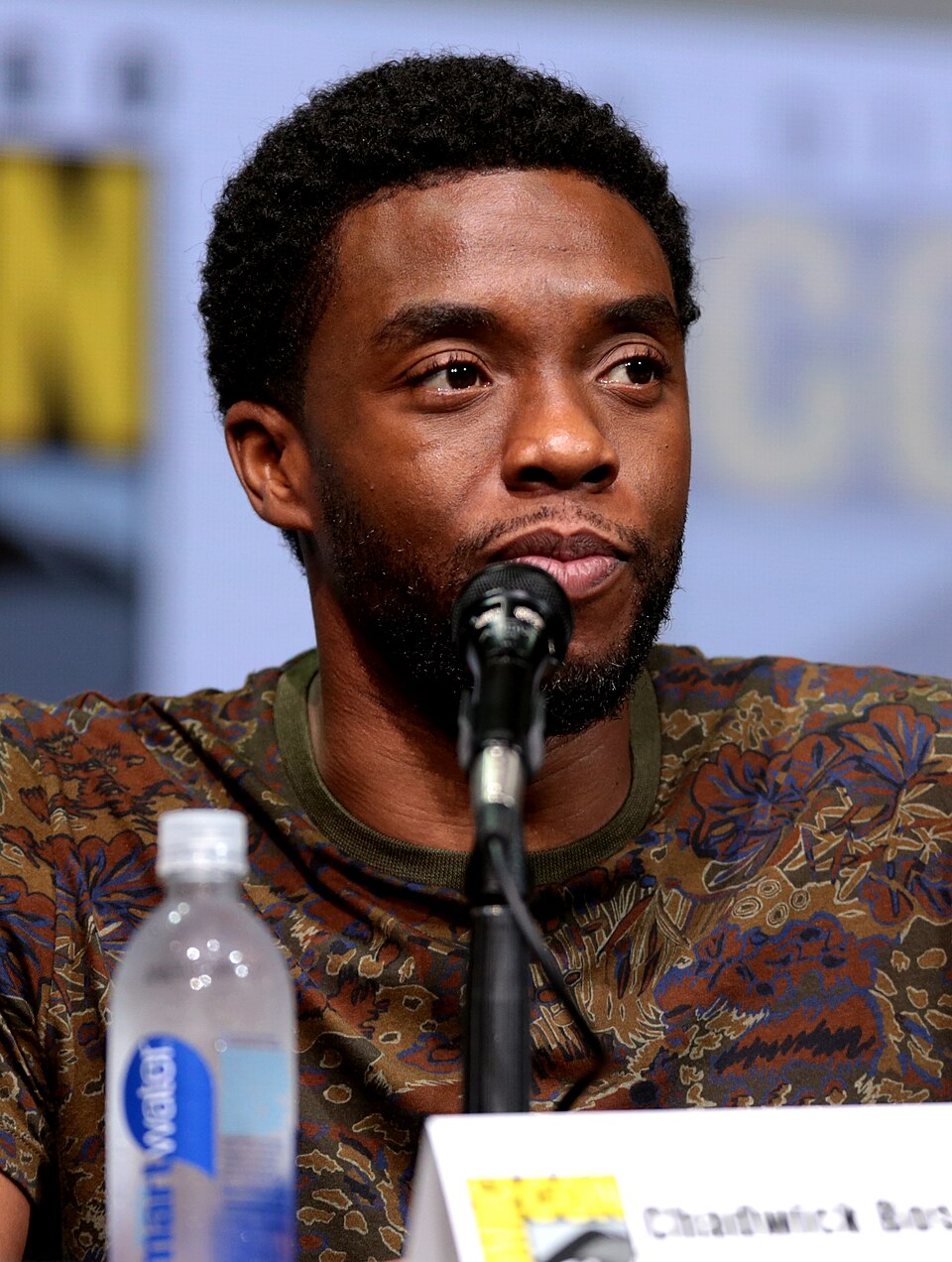 Retrato de Chadwick Boseman