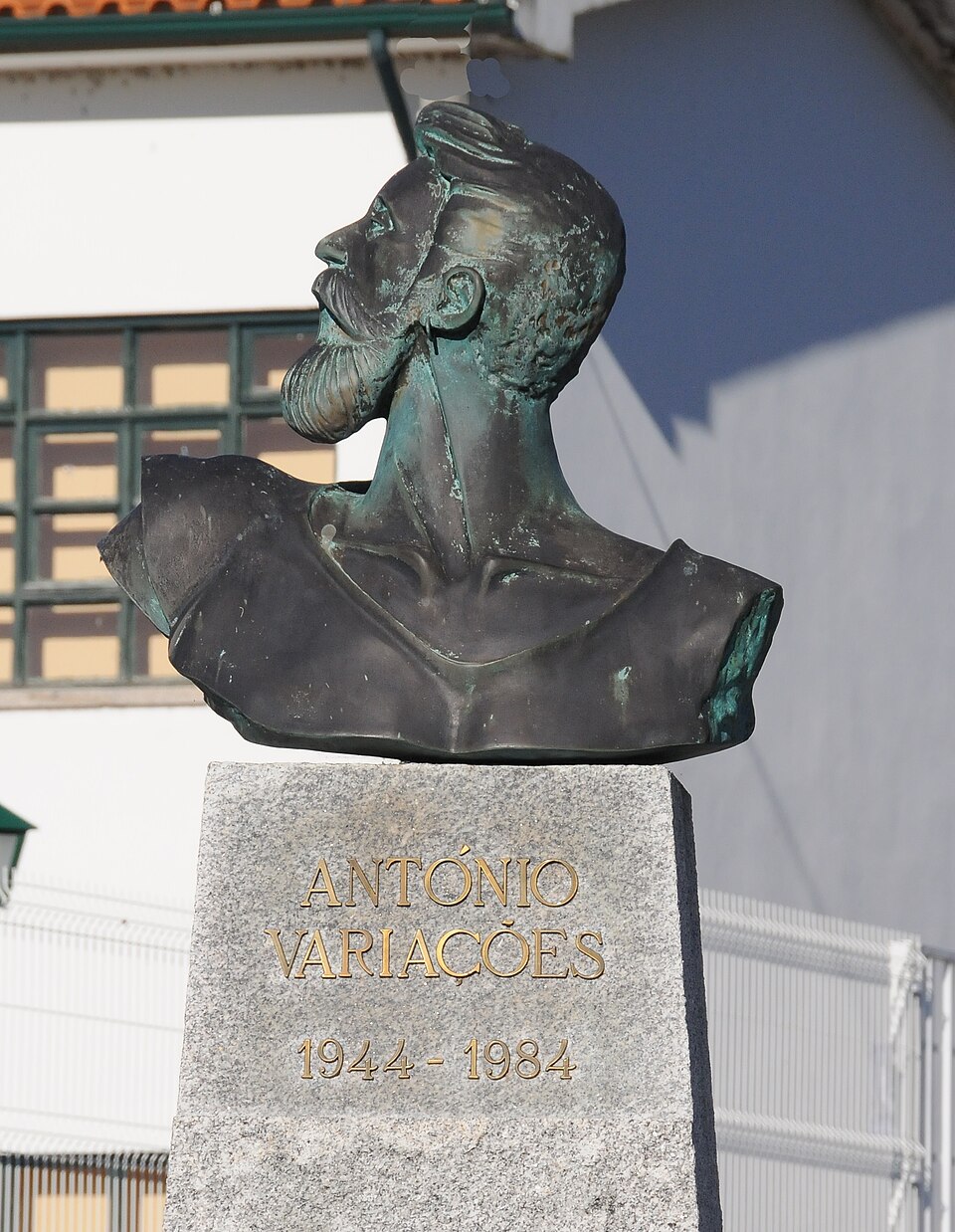 Retrato de António Variações