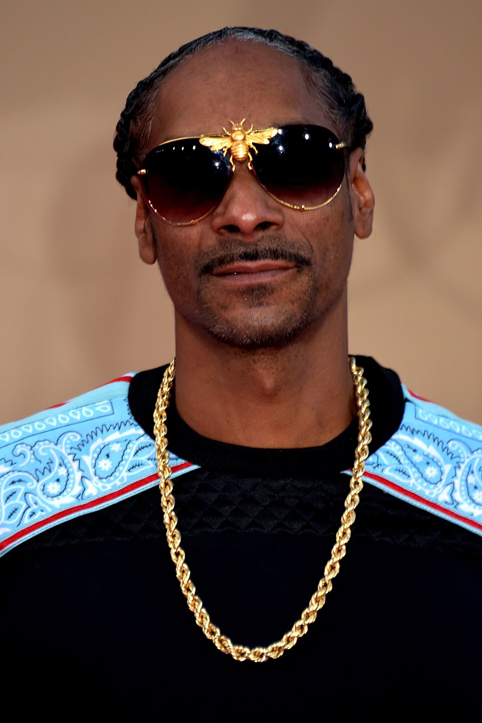 Retrato de Snoop Dogg