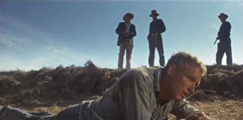 Retrato de Cool Hand Luke