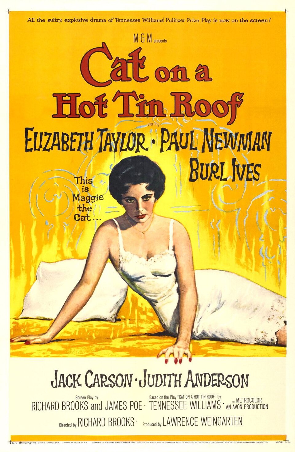 Retrato de Cat on a Hot Tin Roof