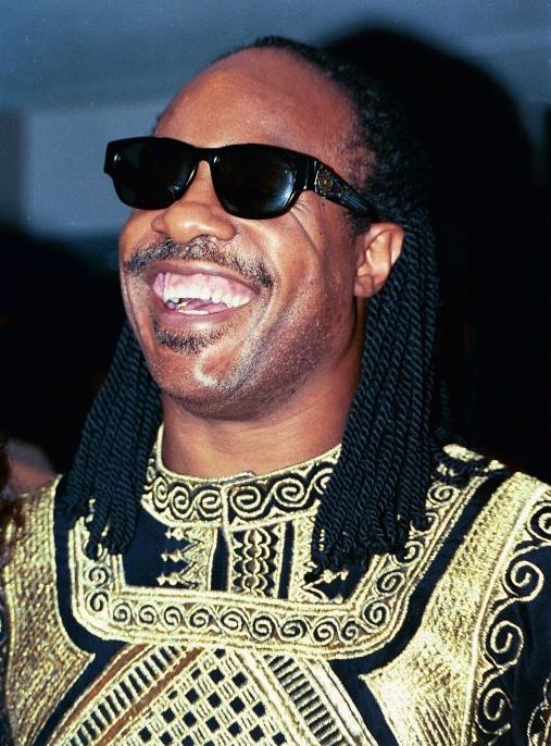 Retrato de Stevie Wonder