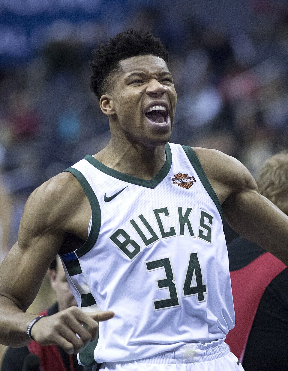 Retrato de Giannis Antetokounmpo